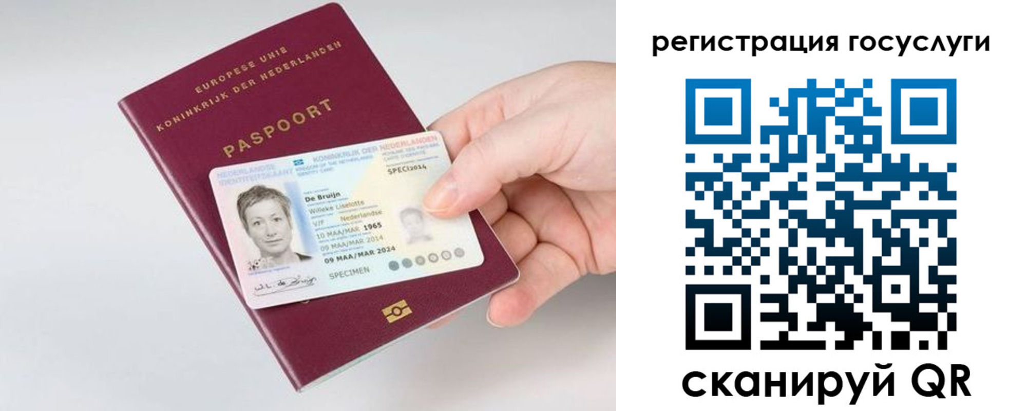 регистрация для дет. сада в Александрове