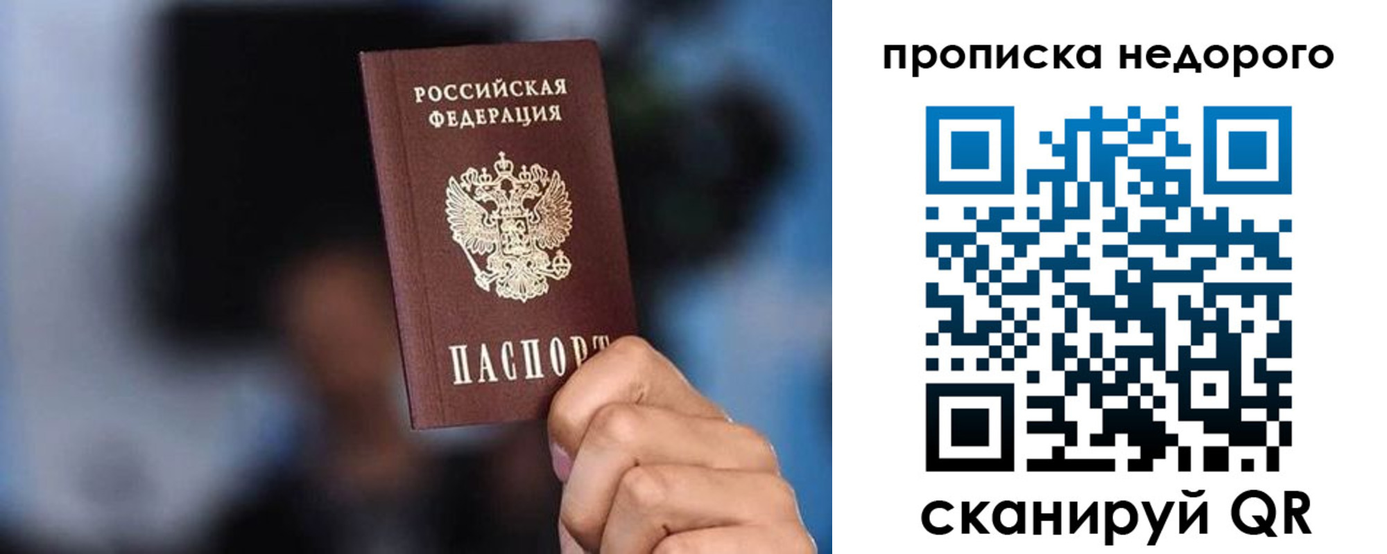 временная регистрация поиск в Александрове