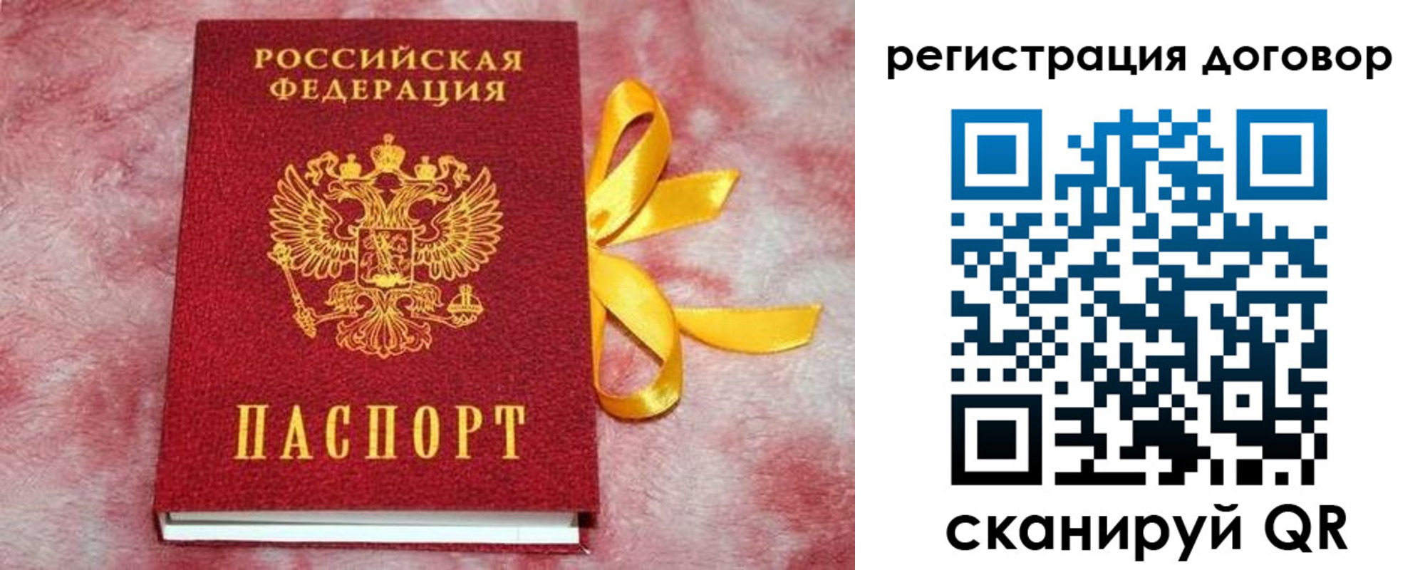 регистрация в Александрове